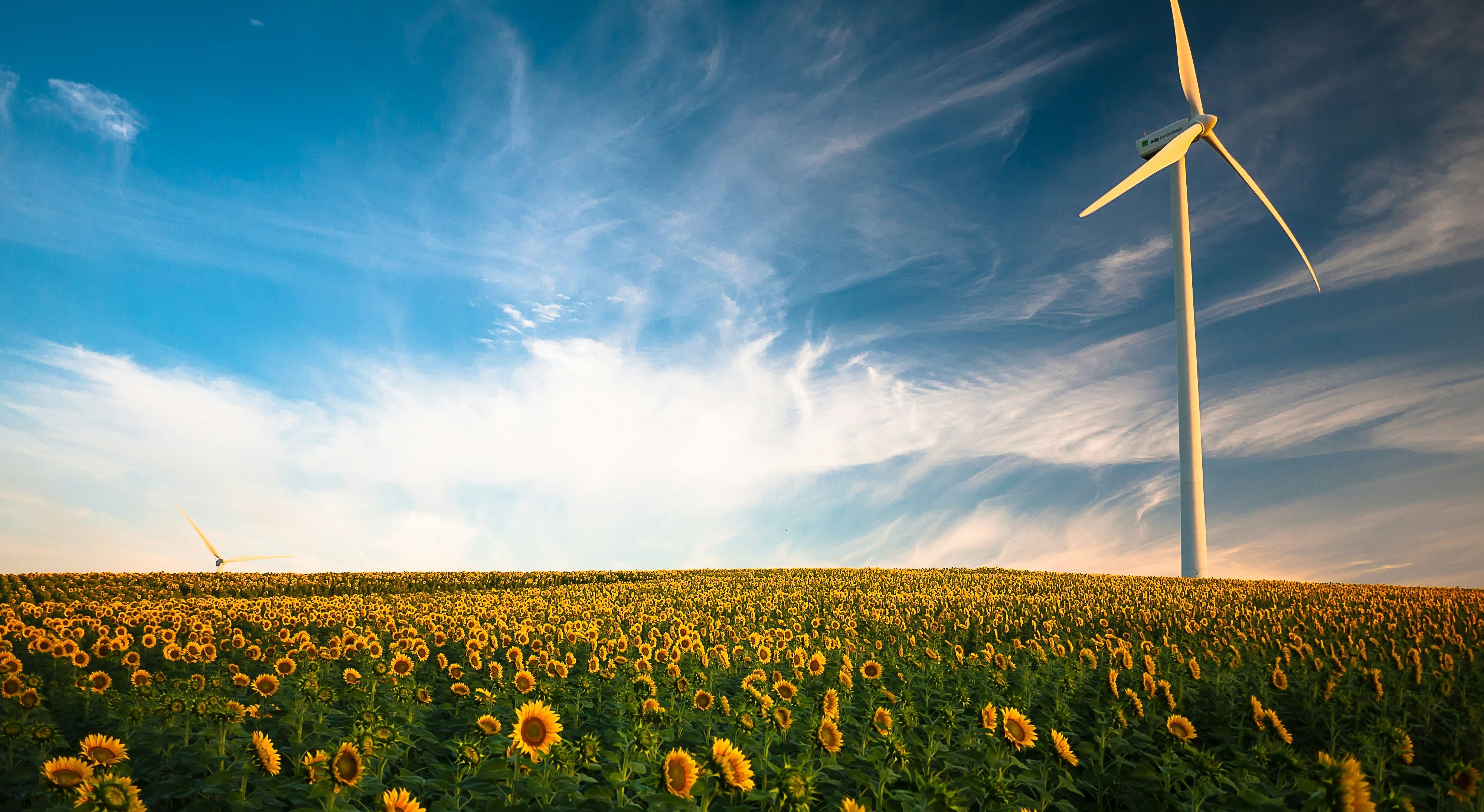 Energy transition and financing: what role will banks play in 2025?