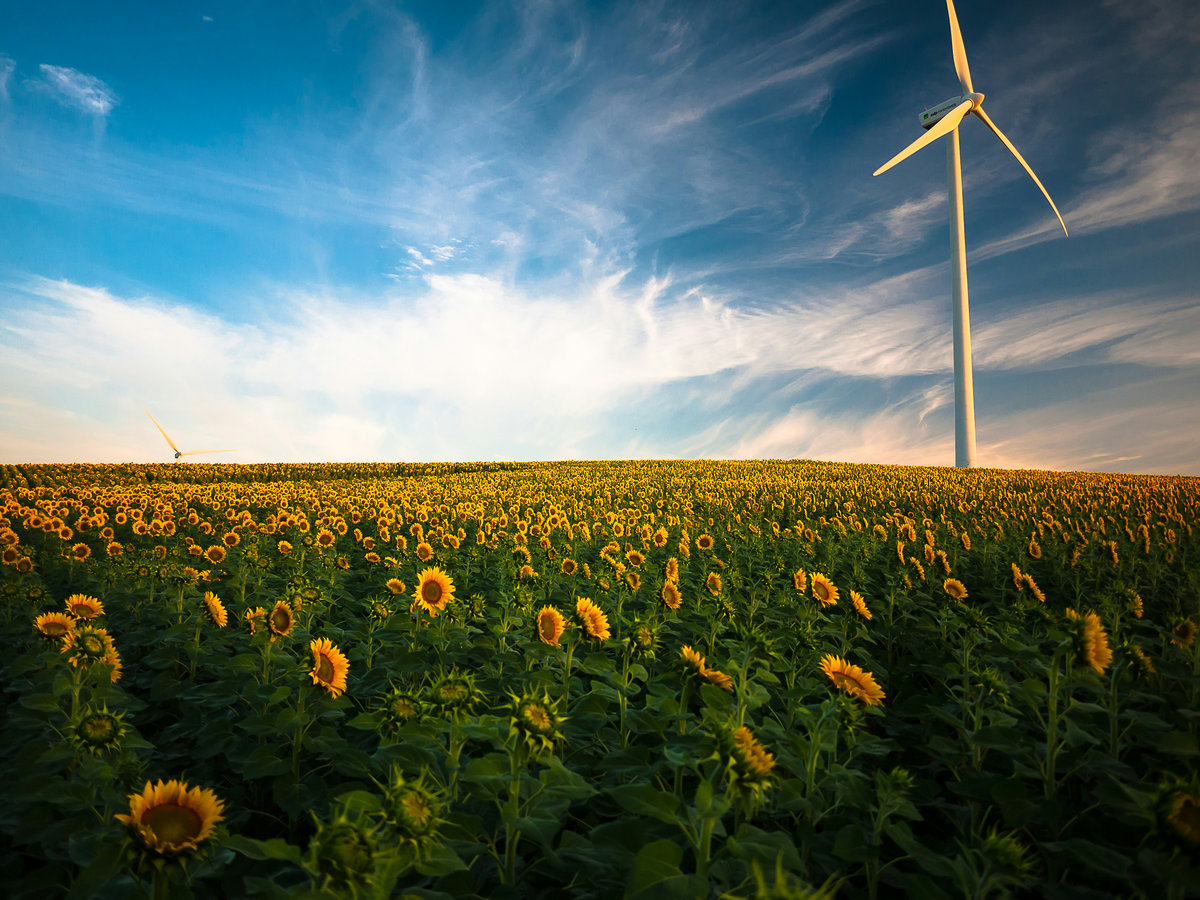 Transition énergétique et financement : quels rôles pour les banques en 2025 ?