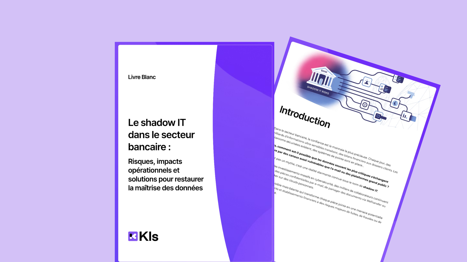 livre blanc shadow it